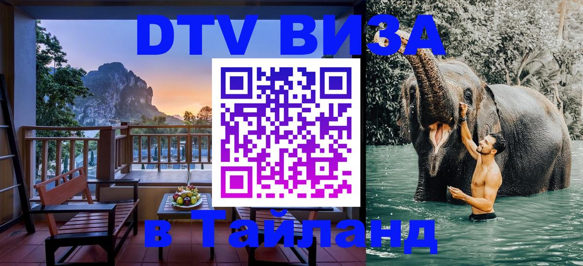 Сколько стоит DTV виза — актуальные цены, оформление даже без документов - Омск 